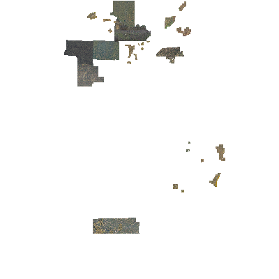Export Image